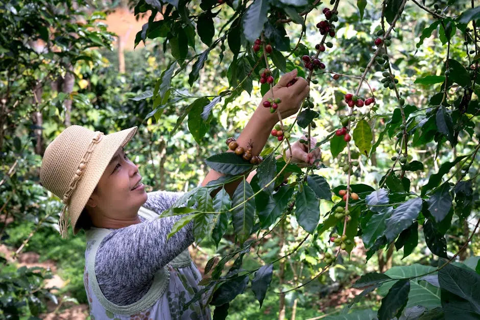 How Can I Support Ethical Coffee Production?