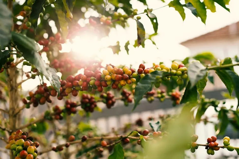 15 Coffee Nutrition Facts That Will Make You Appreciate Your Brew Even More