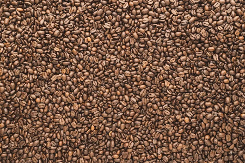 Sustainable Sourcing of Espresso Beans in Las Vegas