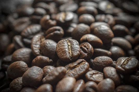 The Art of Choosing Home Coffee Beans for Every Palate